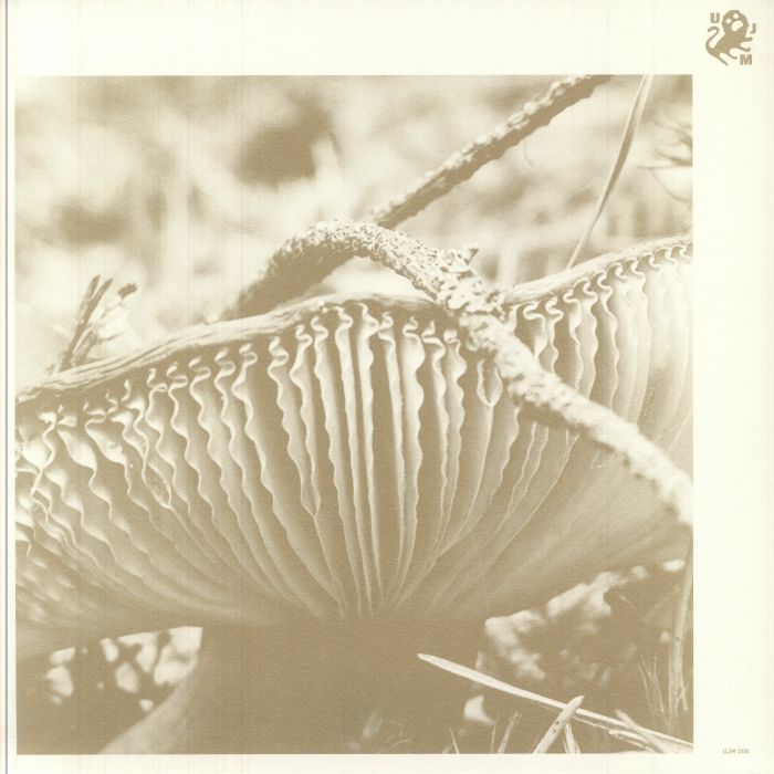 LATE NIGHT POEMS - Rise & Bloom vinyl sleeve