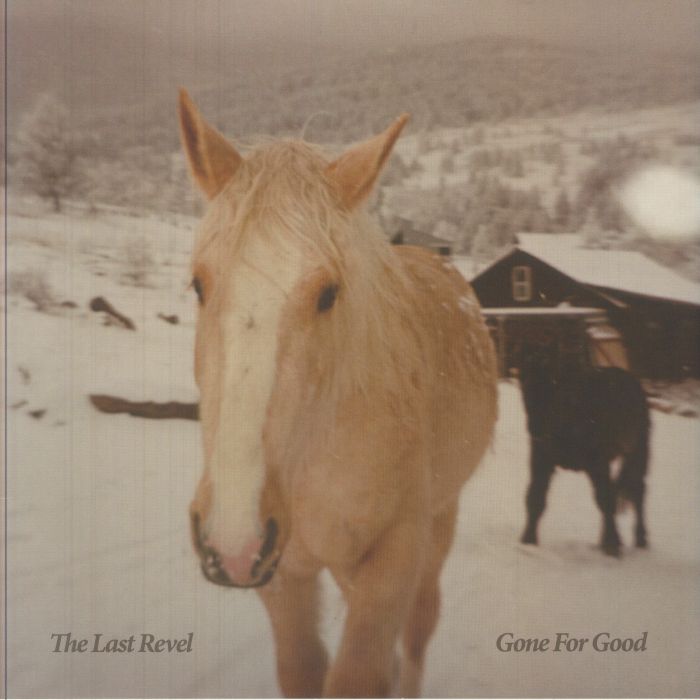 LAST REVEL, The - Gone For Good vinyl sleeve