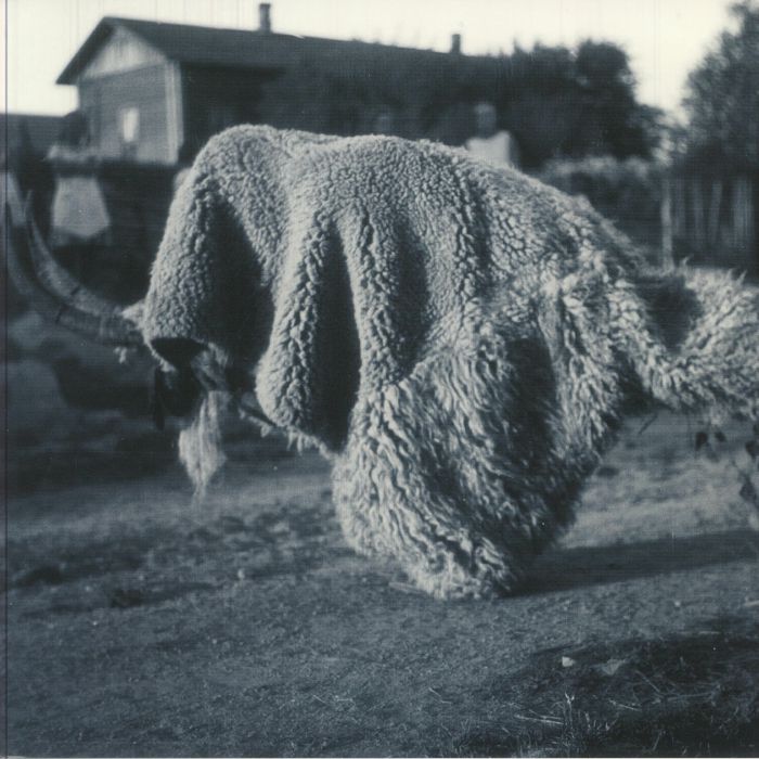 RANDOM GODS - Pneuma vinyl sleeve