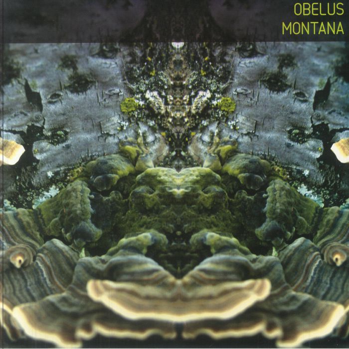 OBELUS - Montana vinyl sleeve