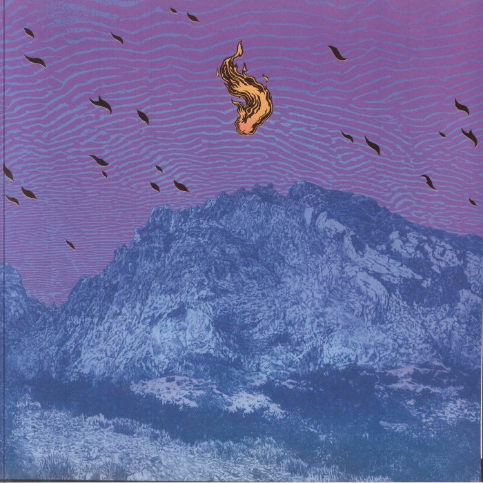 PELICAN - Flickering Resonance vinyl sleeve