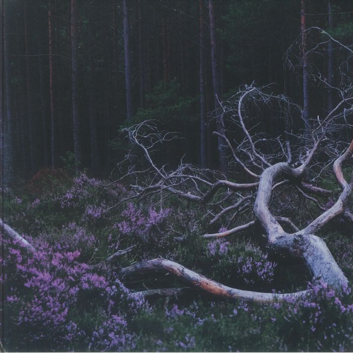 SSAN, Aho/RESINA - Ego Death vinyl sleeve