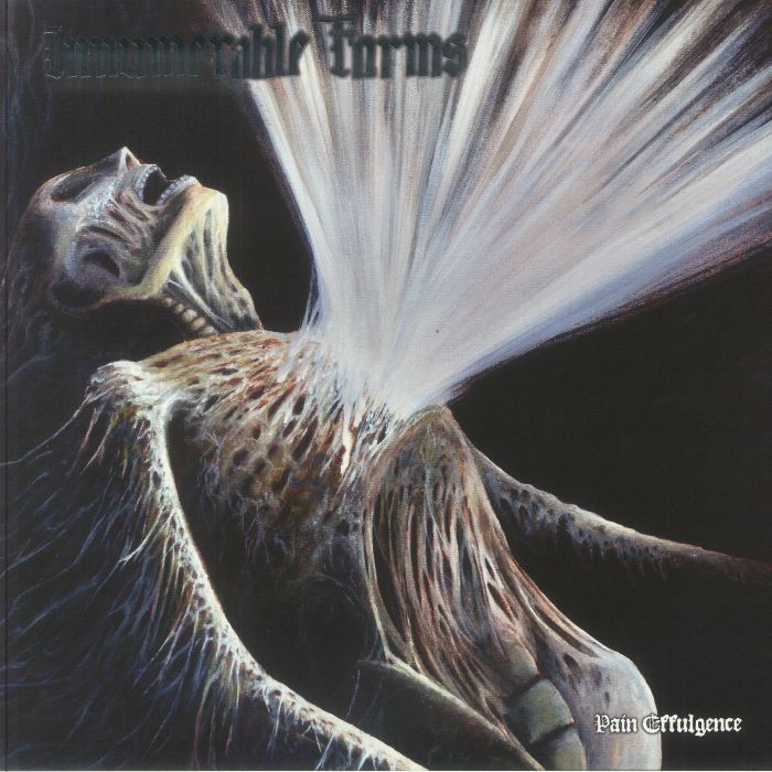 INNUMERABLE FORMS - Pain Effulgence vinyl sleeve