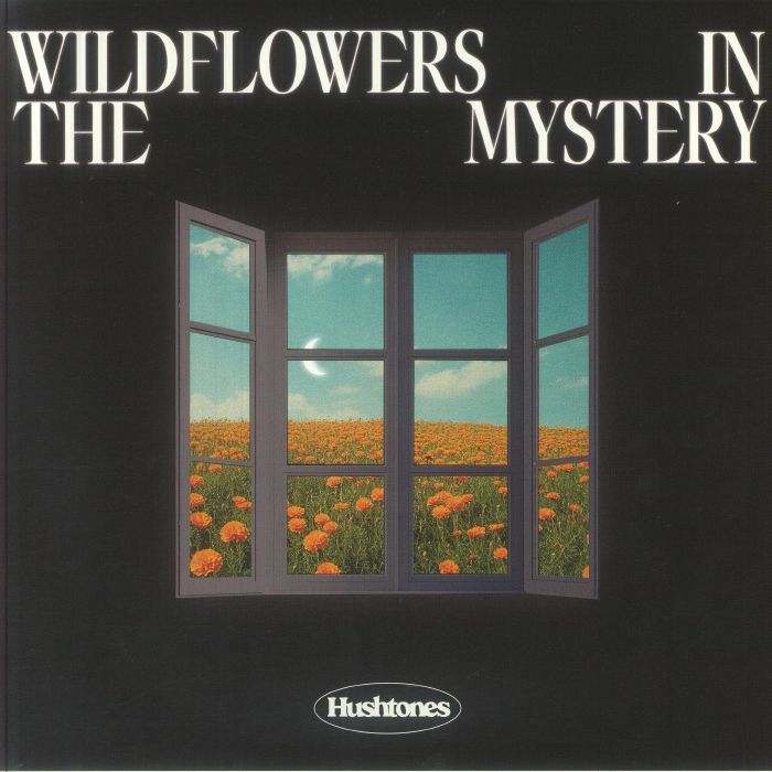HUSHTONES - Wildflowers In The Mystery vinyl sleeve