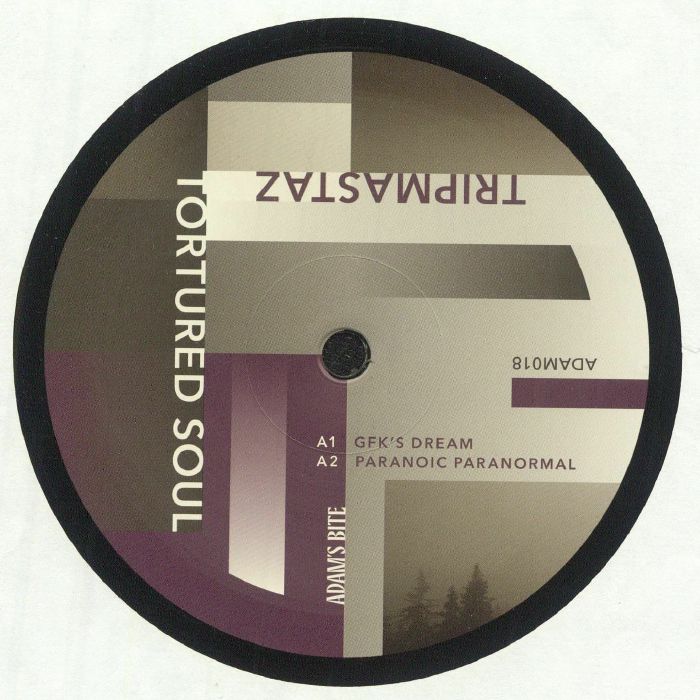 TRIPMASTAZ - Tortured Soul vinyl sleeve