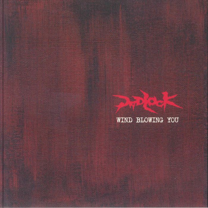 PADLOCK - Wind Blowing You vinyl sleeve