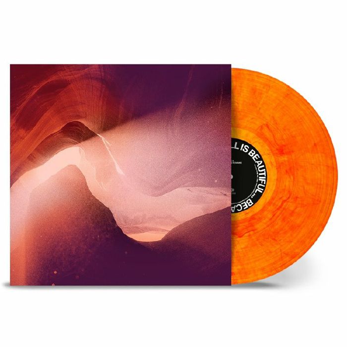 WE CAME AS ROMANS - All Is Beautiful Because We Are Doomed vinyl sleeve