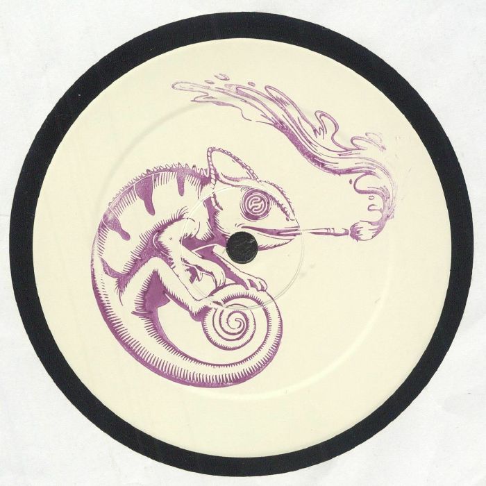 FLIPSIGHT - Sun After Rain vinyl sleeve