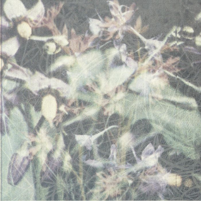 SHAW, Jas - Between The Seed & The Timber vinyl sleeve