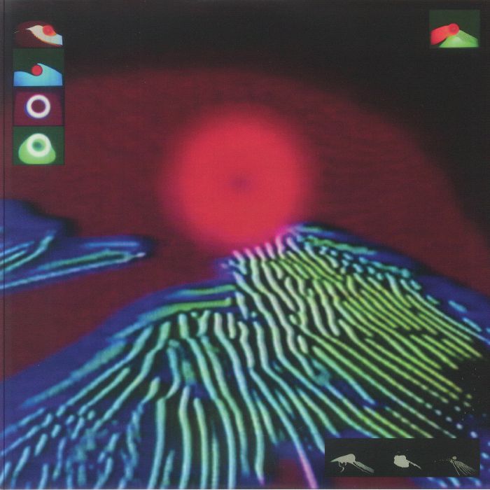 BLANKFORMS - After The Town Was Swept Away vinyl sleeve