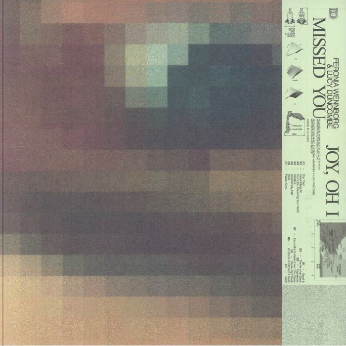 DUNCOMBE, Lucy/FERONIA WENNBORG - Joy Oh I Missed You vinyl sleeve