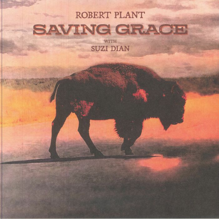 PLANT, Robert with SUZI DIAN - Saving Grace vinyl sleeve
