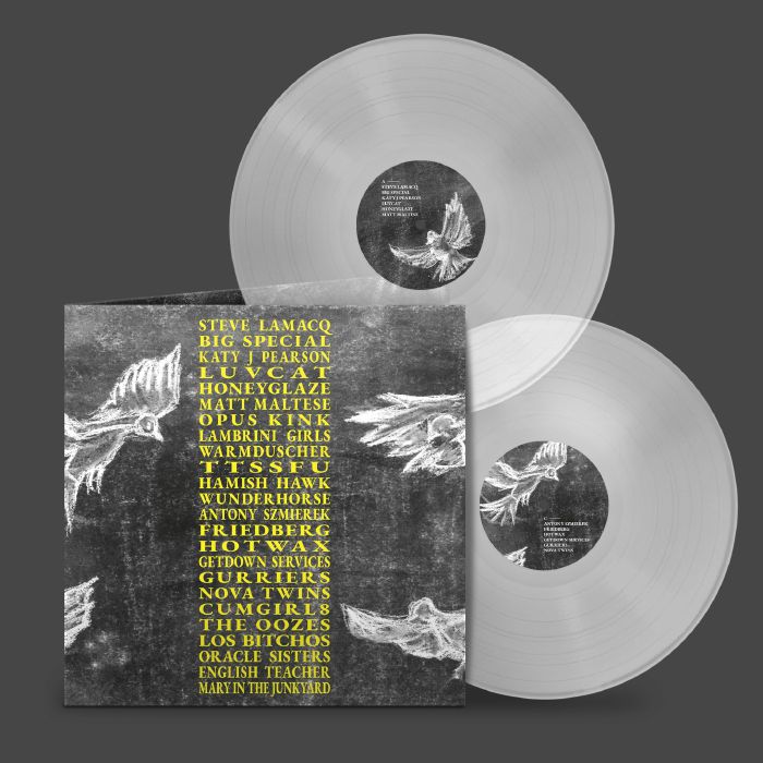 VARIOUS - A Hideous Collective: In Aid Of Music Venue Trust & The Live Trust vinyl sleeve