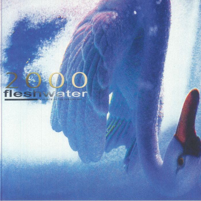 FLESHWATER - 2000: In Search Of The Endless Sky vinyl sleeve
