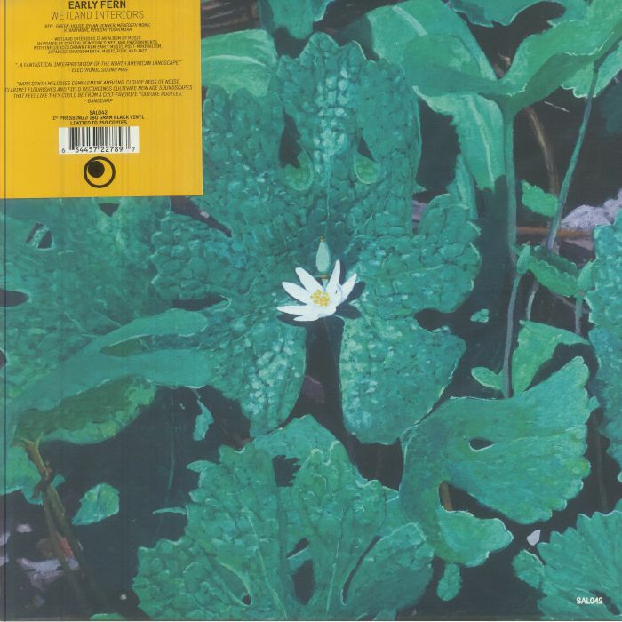 EARLY FERN - Wetland Interiors vinyl sleeve