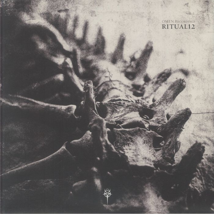 SWARM INTELLIGENCE/BARK/AXKAN/DUELLIST/EAS/HATELOVE/OGMAH/CRYSTAL GEOMETRY - RITUAL12 vinyl sleeve