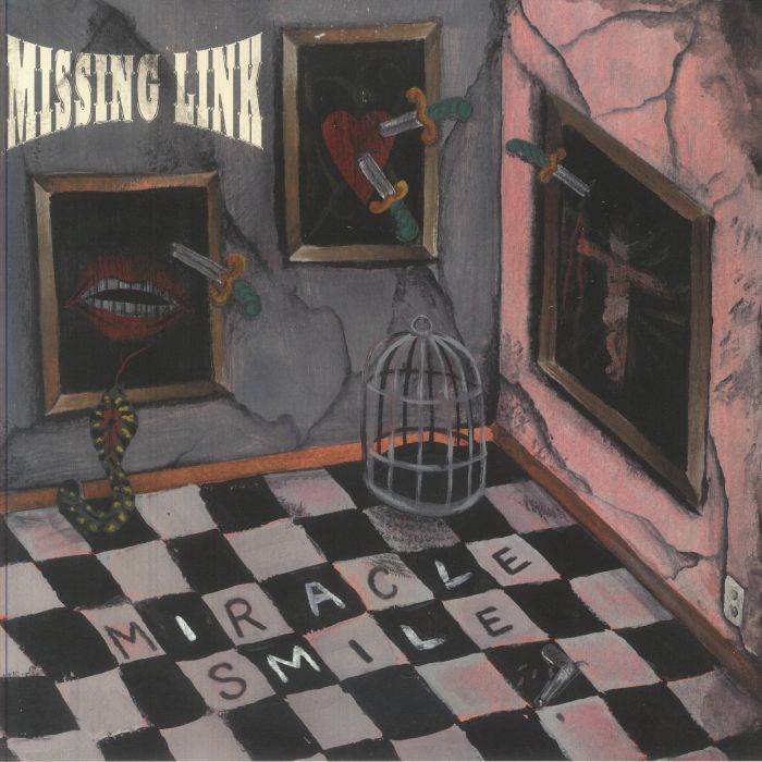 MISSING LINK - Miracle Smile vinyl sleeve
