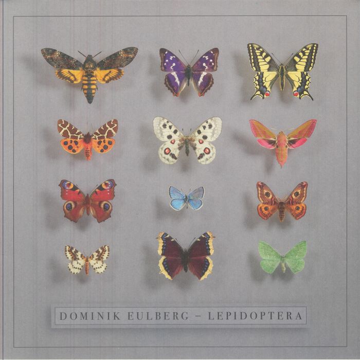 EULBERG, Dominik - Lepidoptera vinyl sleeve