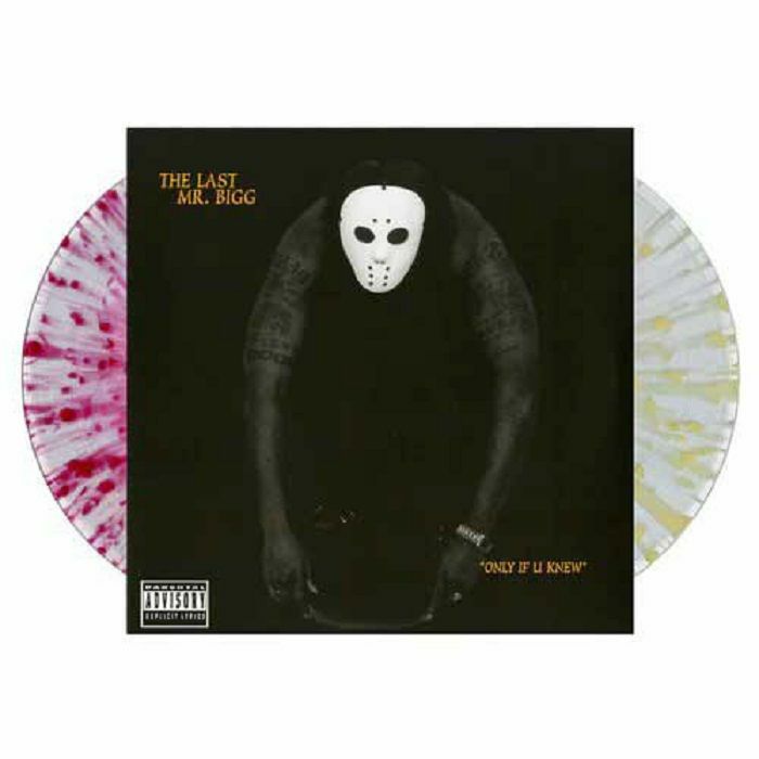 LAST MR BIGG, The - Only If U Knew vinyl sleeve
