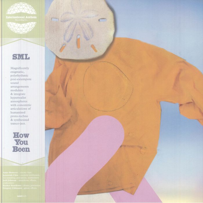 SML - How You Been vinyl sleeve
