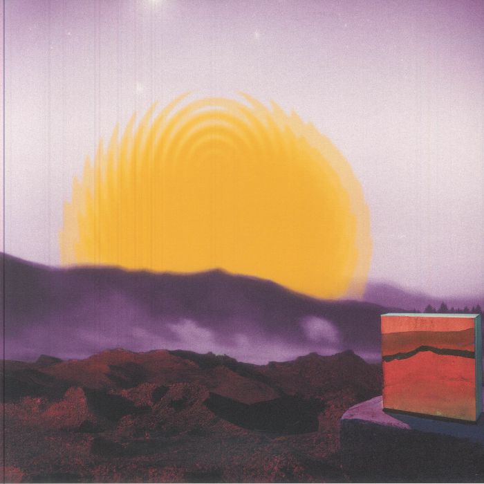 DISHWASHER - Anemoia vinyl sleeve