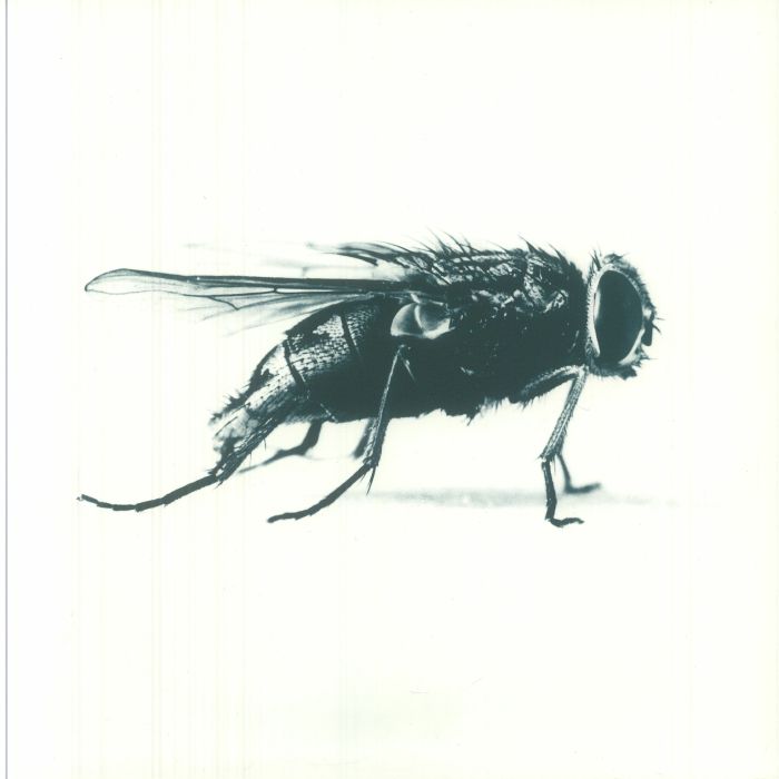 RAISE/SGT RISK - SPORT 10000 vinyl sleeve