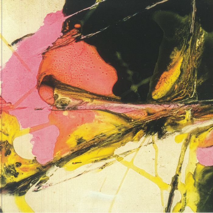 JENSEN INTERCEPTOR - Interception vinyl sleeve