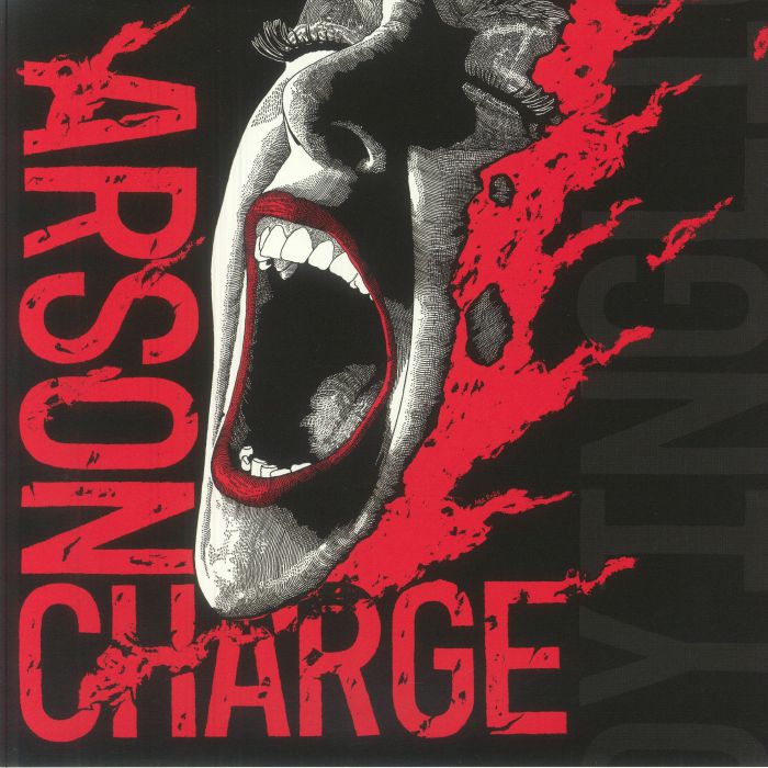 ARSON CHARGE - A Dying Light vinyl sleeve