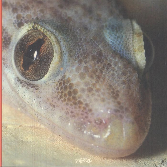 IVNA JI - Archways vinyl sleeve