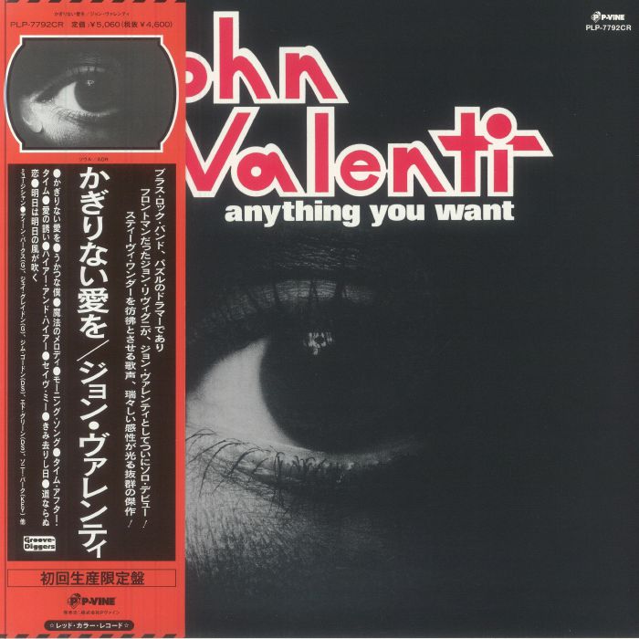 VALENTI, John - Anything You Want vinyl sleeve