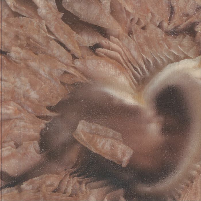 SERTI - If U Are Curious vinyl sleeve