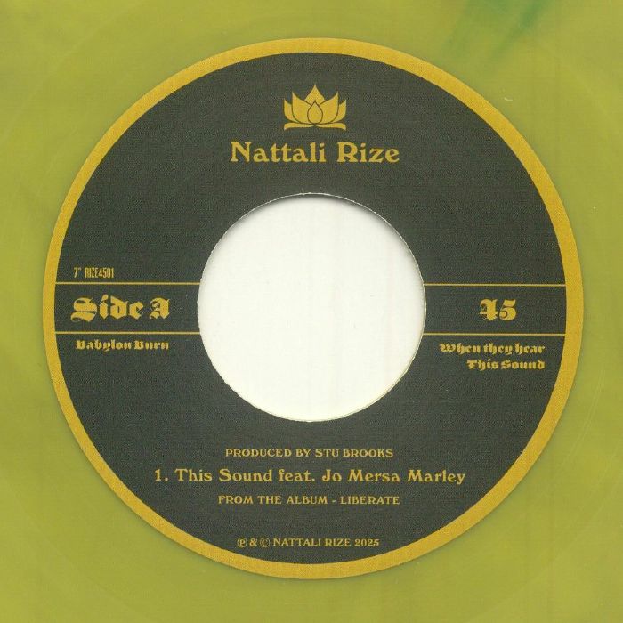 RIZE, Nattali - This Sound vinyl sleeve