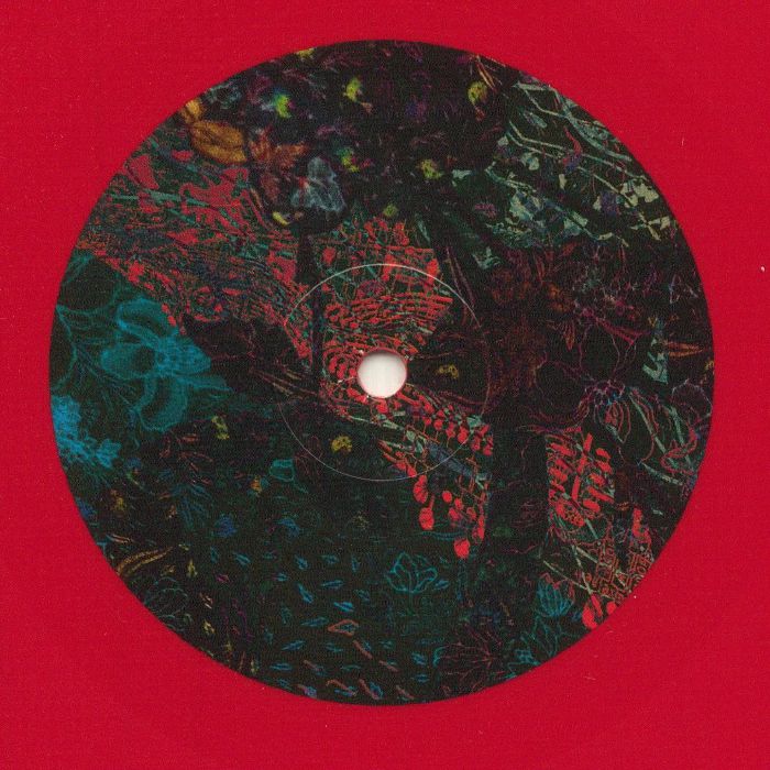 POOLEY, Ian - Floris EP (reissue) vinyl sleeve