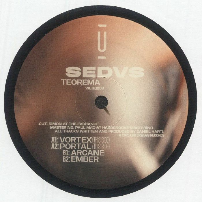 SEDVS - Teorema vinyl sleeve