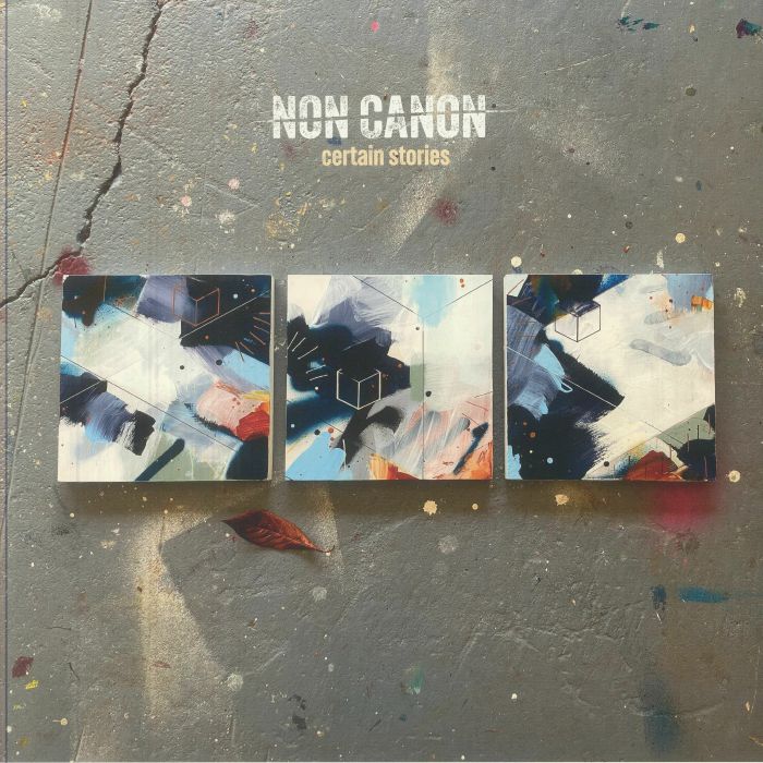 NON CANON - Certain Stories vinyl sleeve