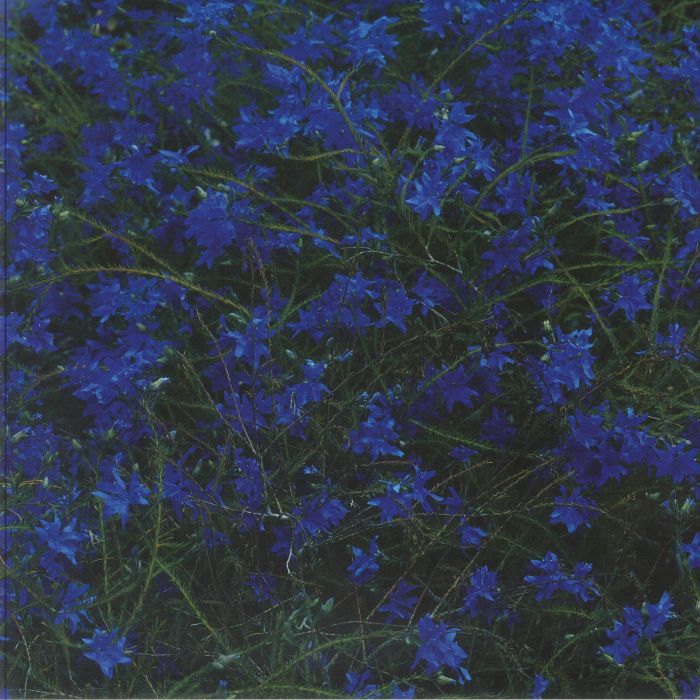 CANTU LEDESMA, Jefre - Gift Songs vinyl sleeve