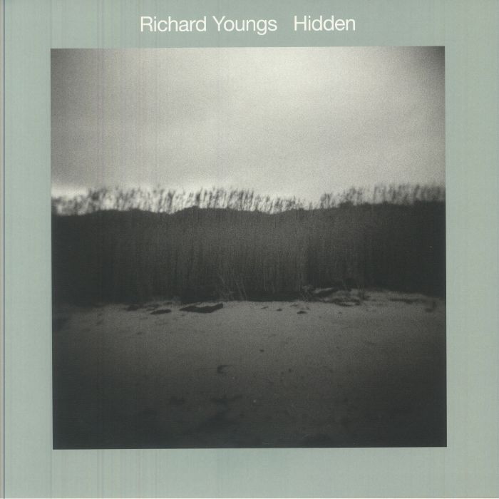 YOUNGS, Richard - Hidden vinyl sleeve