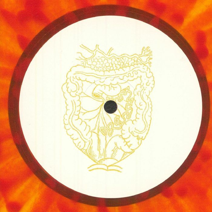 SCAM DUST - Gastric Pulse vinyl sleeve
