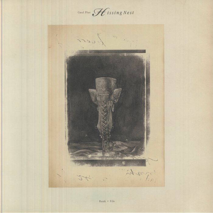 GAUL PLUS - Hissing Nest vinyl sleeve