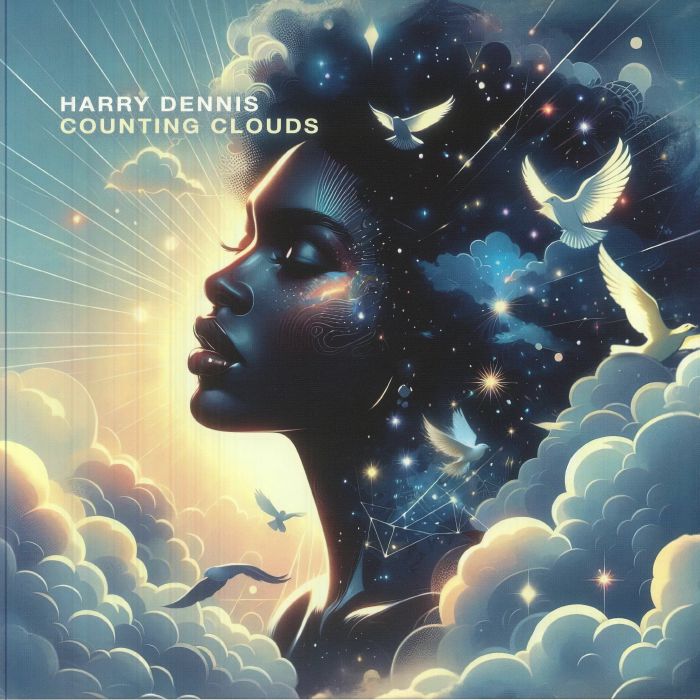 DENNIS, Harry - Counting Clouds vinyl sleeve