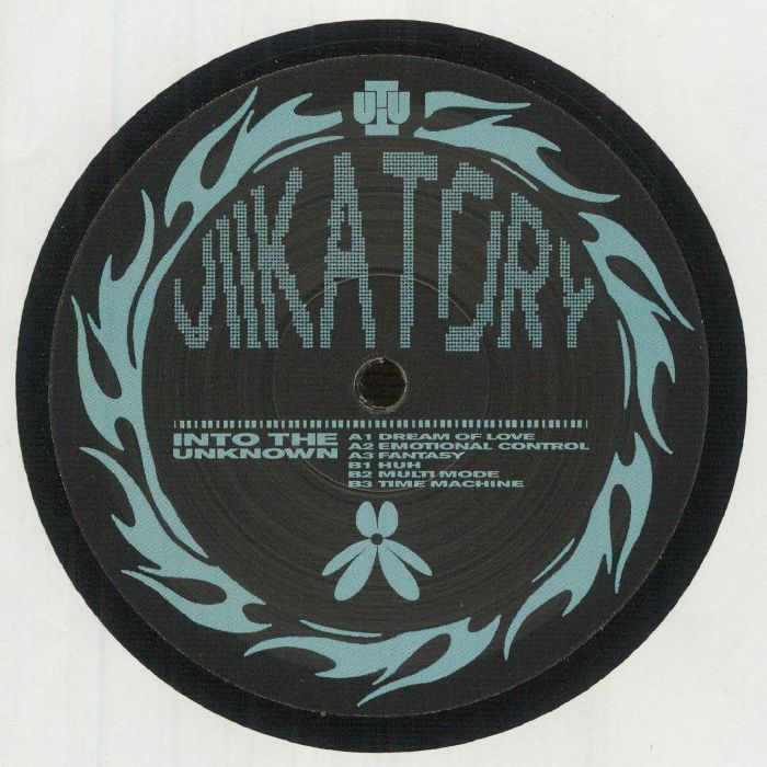 VIIKATORY - Into The Unknown vinyl sleeve