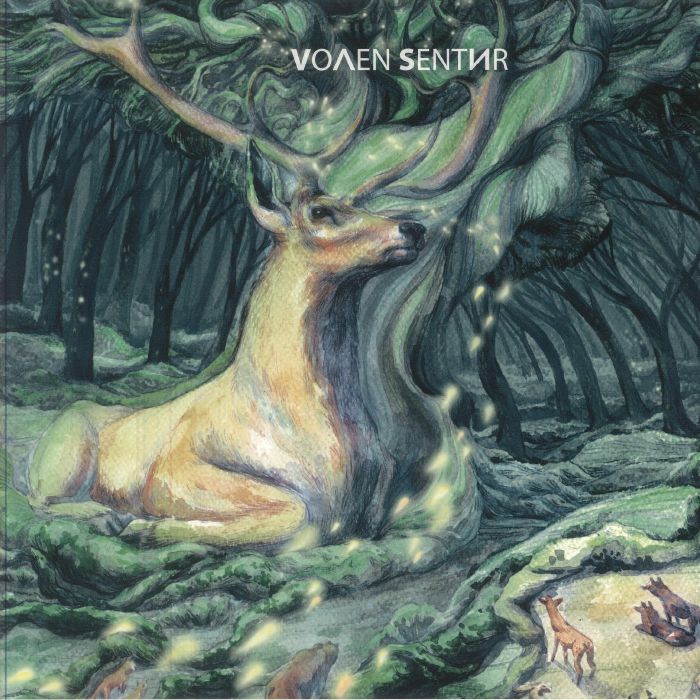 VOLEN SENTIR - The Book Of Wisdom vinyl sleeve