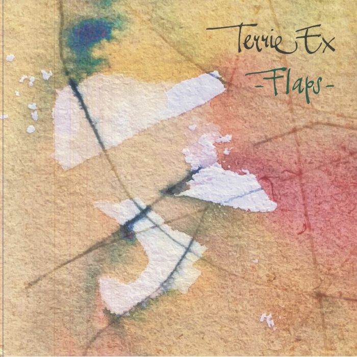 TERRIE EX - Flaps! vinyl sleeve