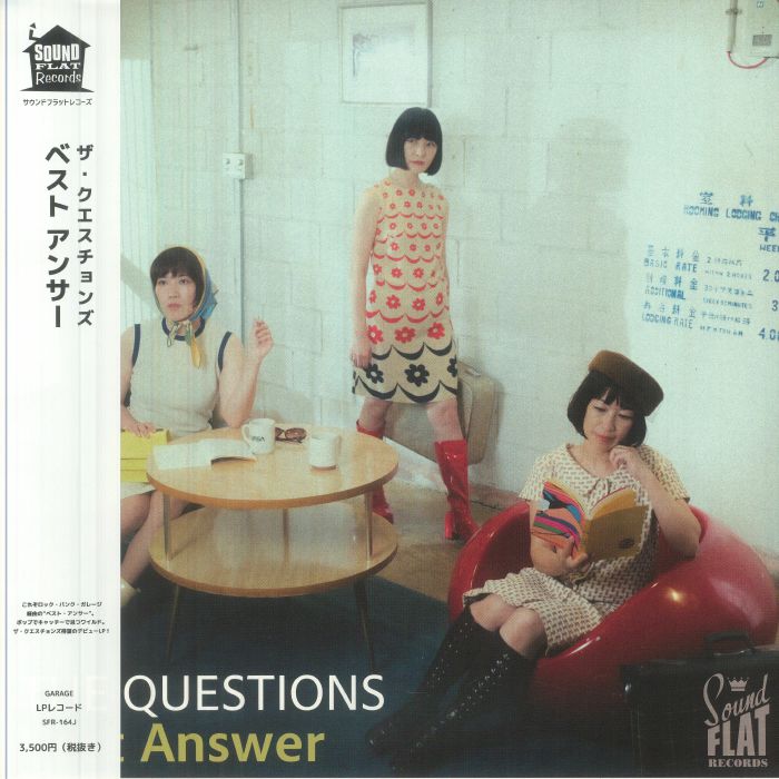 QUESTIONS, The - Best Answer vinyl sleeve