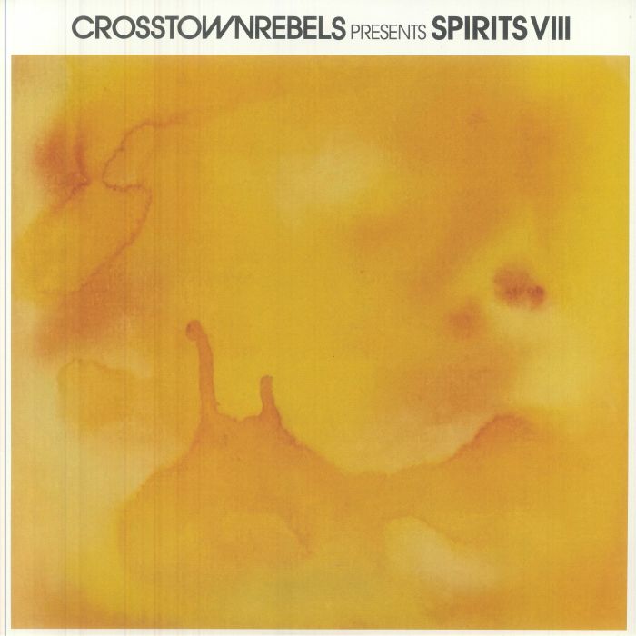 VARIOUS - Spirits VIII vinyl sleeve