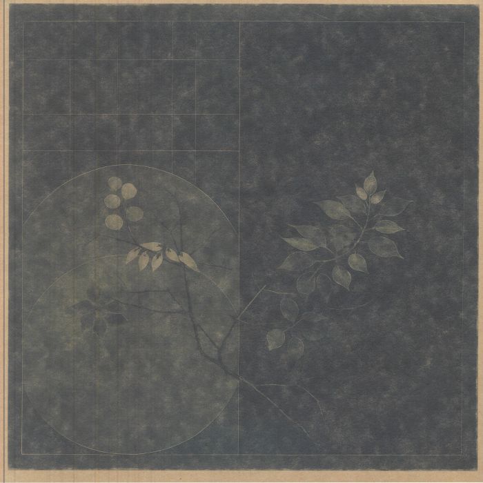 WUAL, Sara/FLABAIRE/PAUL CUT/MAYAN - Transnationality EP vinyl sleeve