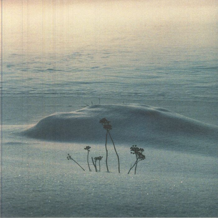 SAINE - There Will Be Signs vinyl sleeve