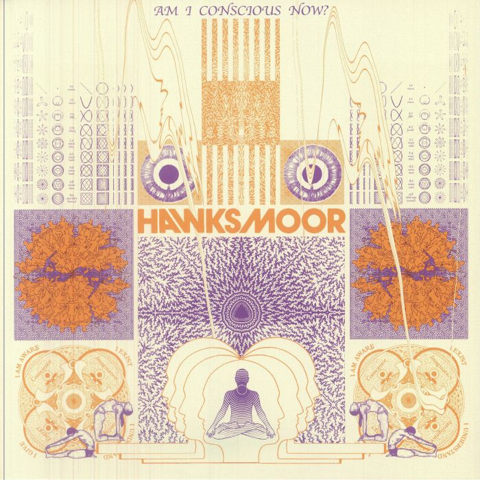 HAWKSMOOR - Am I Conscious Now? vinyl sleeve