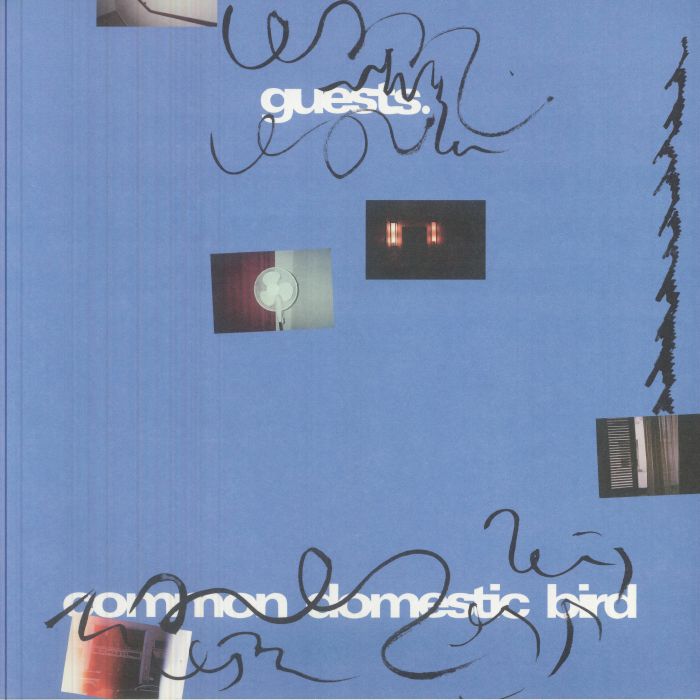 GUESTS - Common Domestic Bird vinyl sleeve
