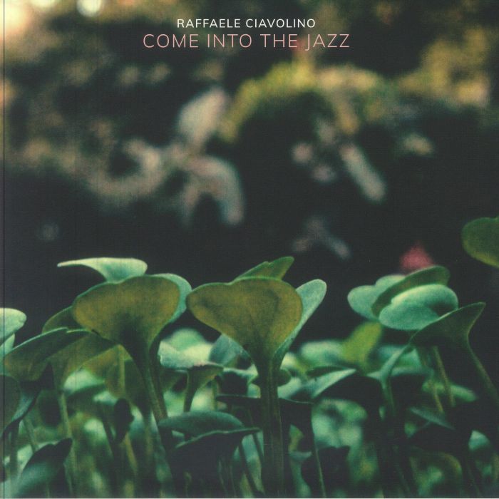 CIAVOLINO, Raffaele - Come Into The Jazz vinyl sleeve
